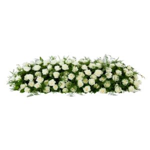Pure Rozen